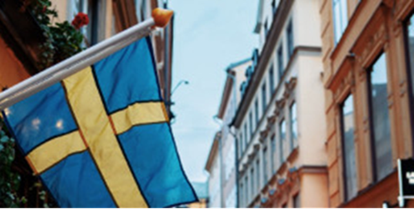 svenska spellagen flagga